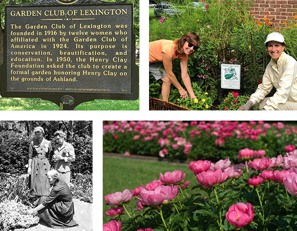 Garden Club Lexington Our Story